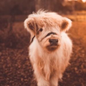 Meet your Posher, Shaleigh